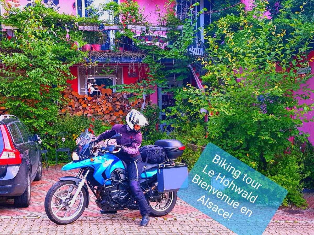 Tilly'S B&B And Apartment House 르호왈드 외부 사진