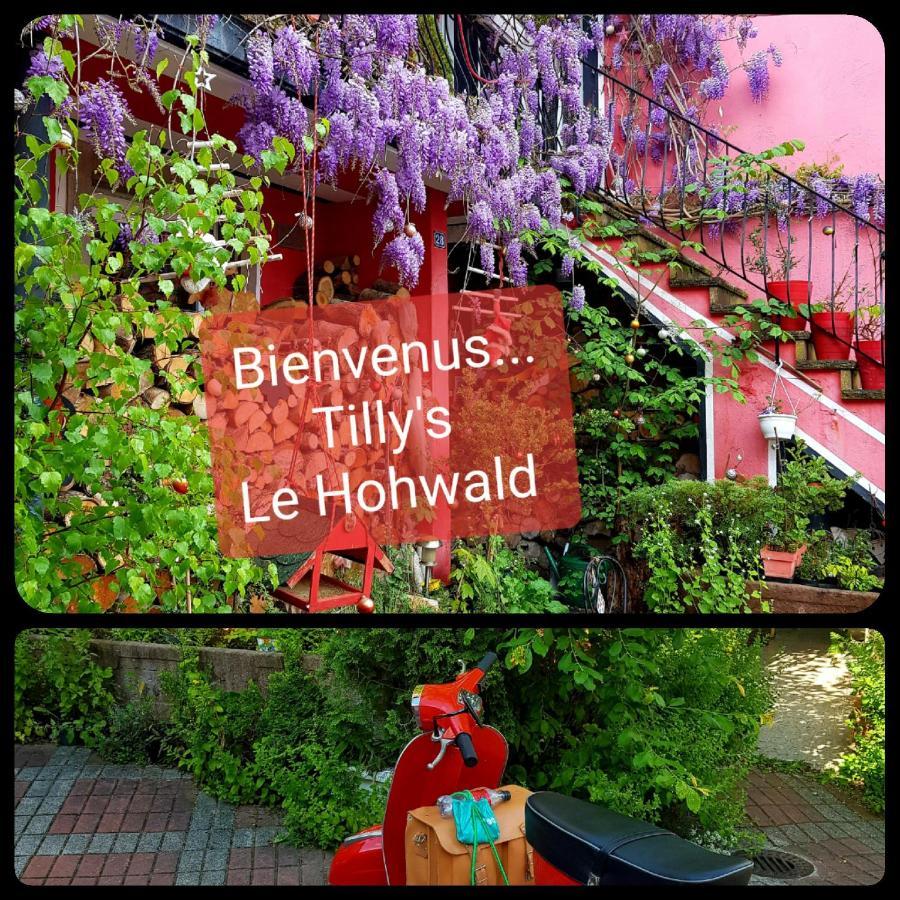 Tilly'S B&B And Apartment House 르호왈드 외부 사진